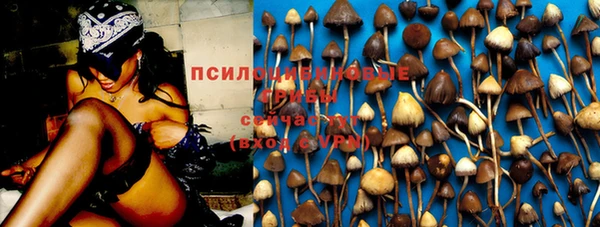 соль курить ск Арсеньев