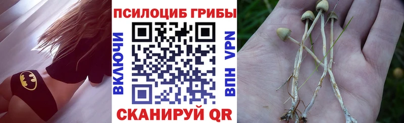 Псилоцибиновые грибы мухоморы  Шадринск 