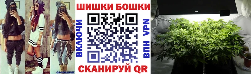Каннабис OG Kush где найти Шадринск